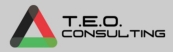 T.E.O.CONSULTING 